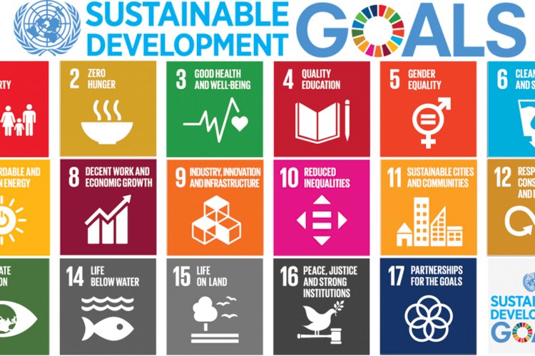 the-17-sdgs-and-the-sdbs-safcam