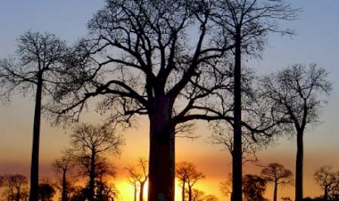 DONNE-NOUS LE COURAGE