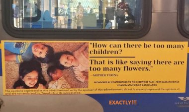 Birth Rates Are Plummeting in China and the U.S.