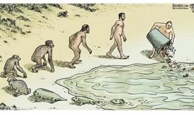 What Are the Environmental Impacts of Hormonal Birth Control?