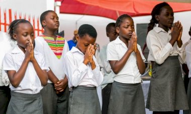 SAFCAM Communiqué #59  - francais