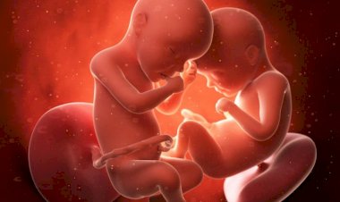 Growth of a baby in the mother's womb