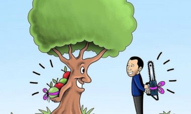 SAFCAM Communique #66 - English