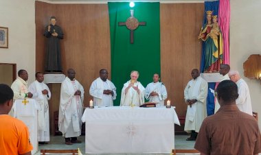 SAFCAM-Newsletter #6