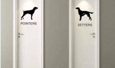 Bishop Burbridge’s stand against transgender ideology