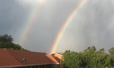 COP26-Deaf to the cry of Africa