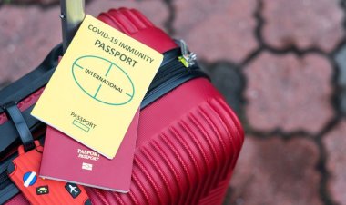 COVID-19 World Statistics by continent as provided on the 16/12/2021