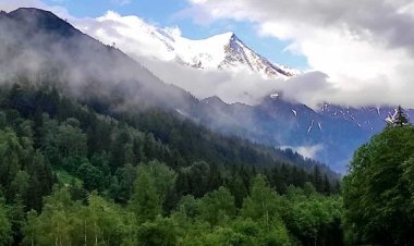 DON BOSCO ET LA BIBLE - 41