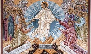 SAFCAM NEWSLETTER - n. 11