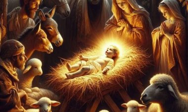 SAFCAM NEWSLETTER n. 17